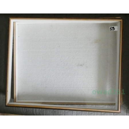 GABLOTA ENTOMOLOGICZNA DREWNIANA OSZKLONA 50/40cm z wyścieleniem (używana)13